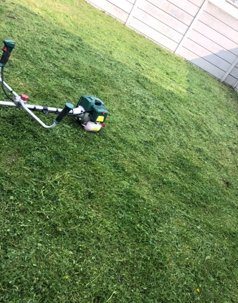 Grass Cut - Image 1