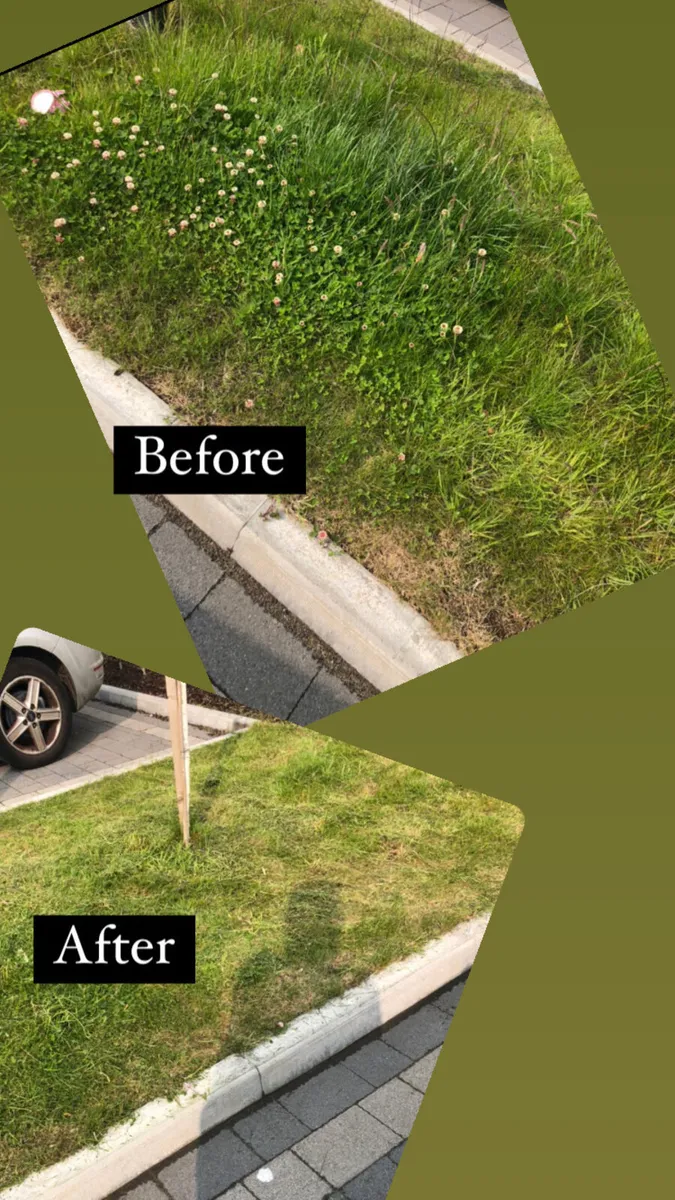 Grass Cut - Image 3