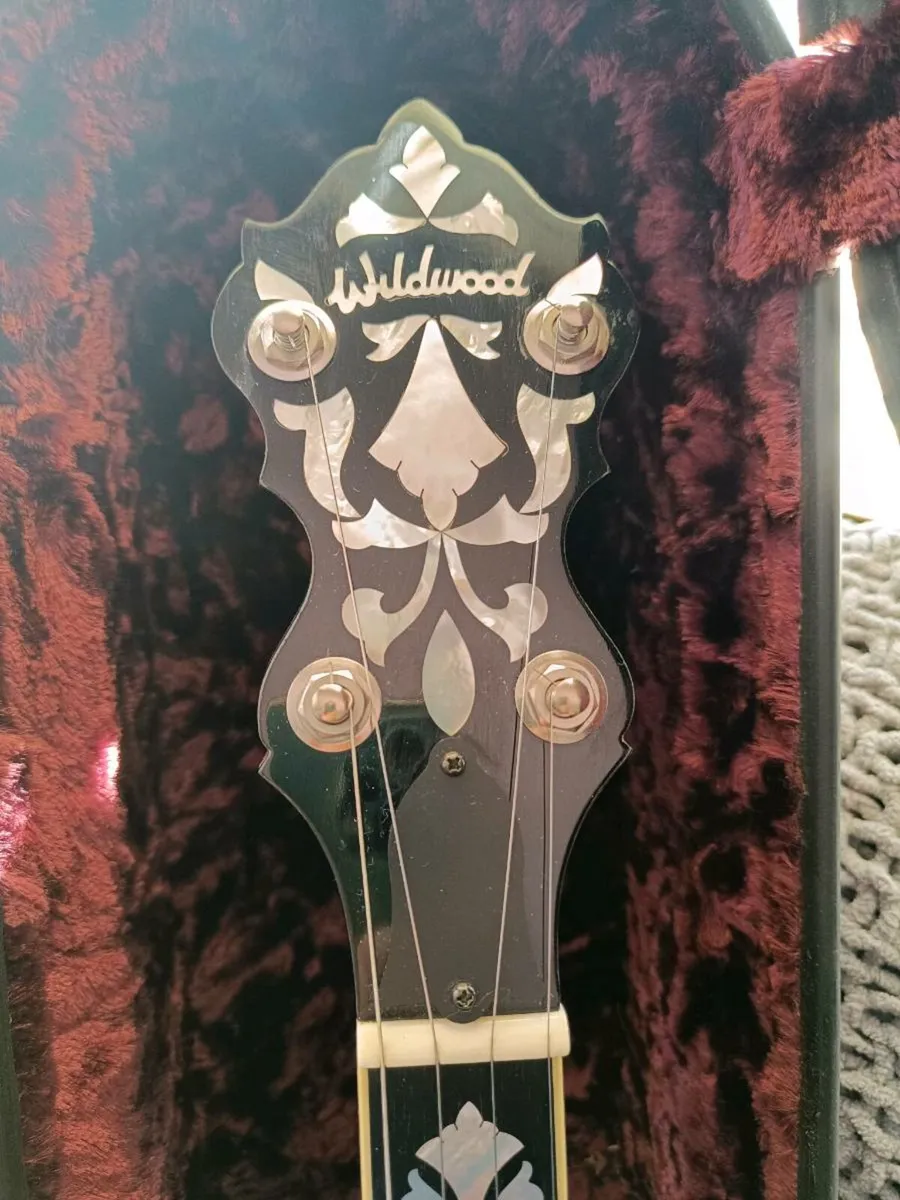 Wildwood Paragon quilted Maple 5 string - Image 1