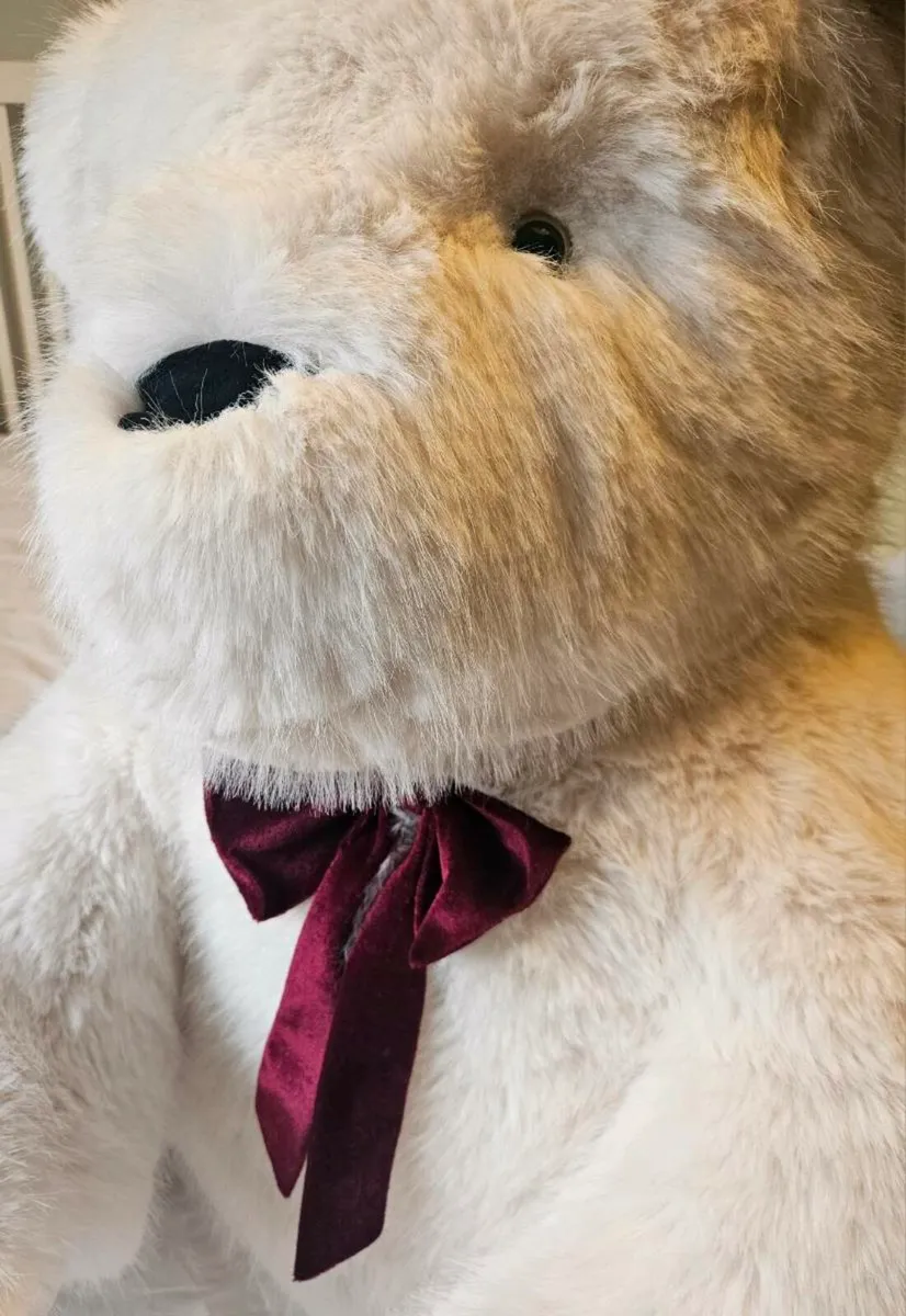 Paul Costello Bear - Image 2