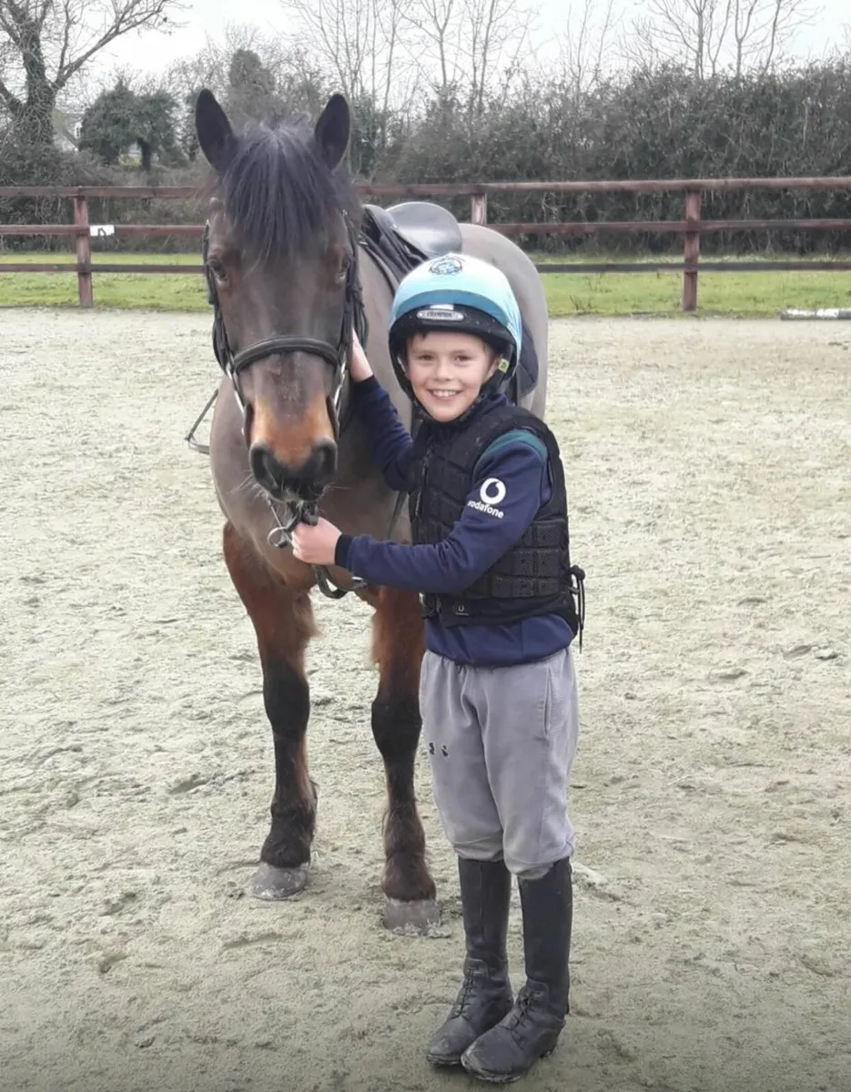 GREAT FIRST PONY/PONY CLUB PONY - Image 4