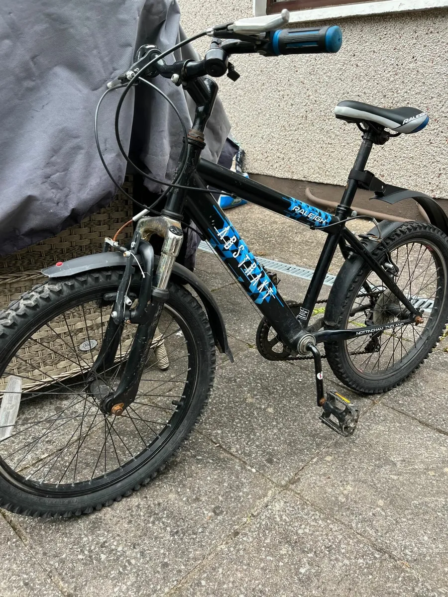 Kids Raleigh Abstrakt bike (20" wheels)