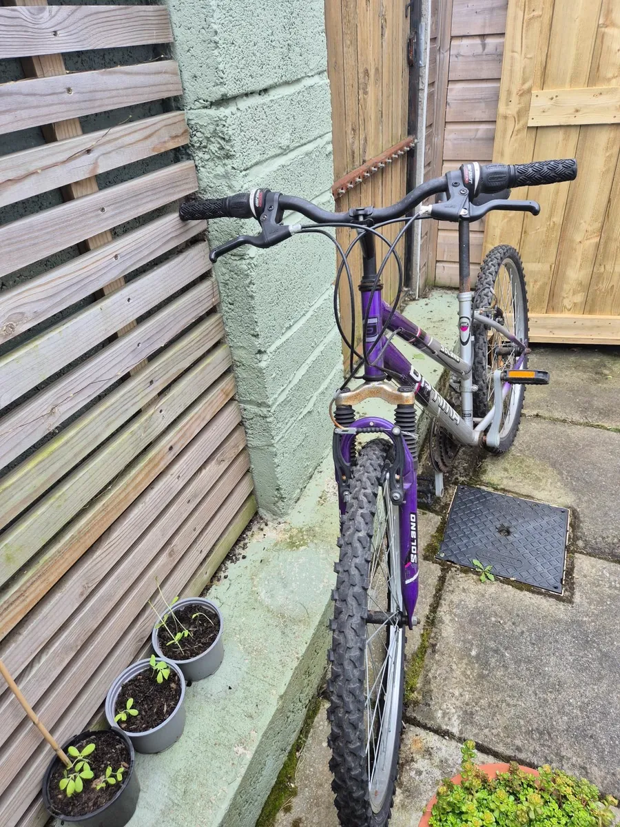 Girls mountain bike - Image 1