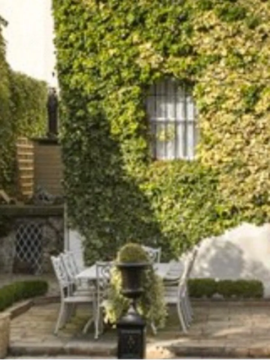 Garden Furniture - Image 2