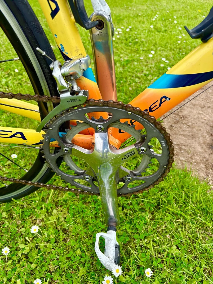 Orbea Team Euskaltel - Image 4