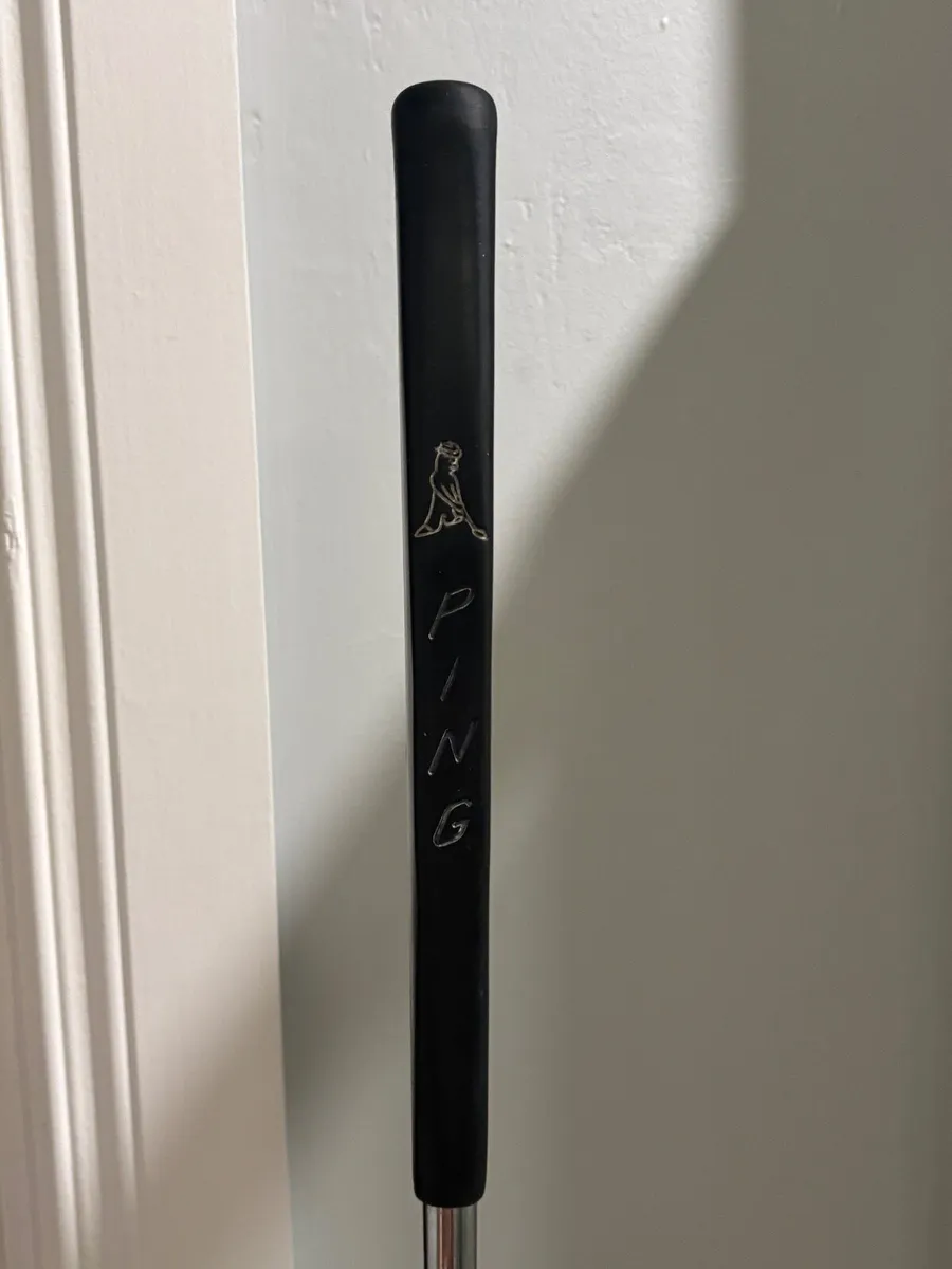 Rife putter - Image 2