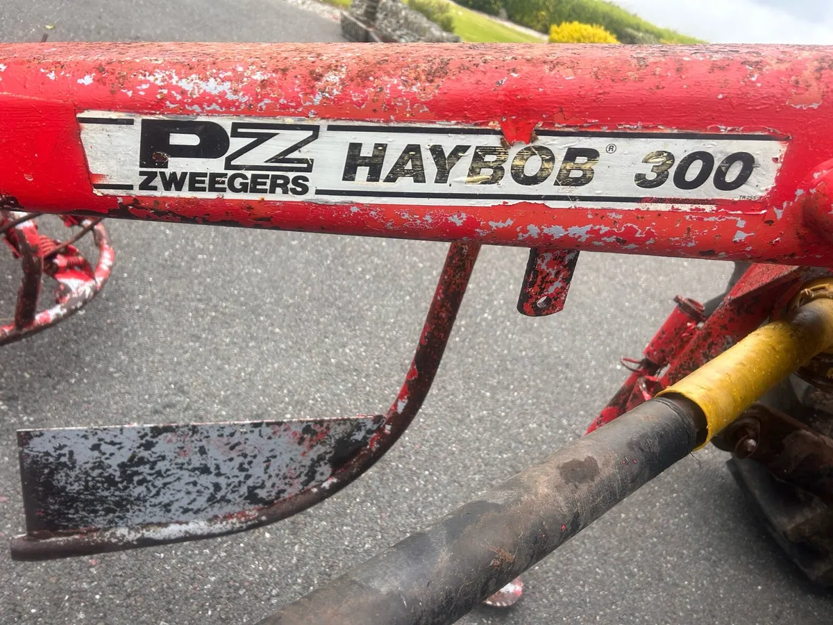 PZ 300 HAYBOB - Image 1