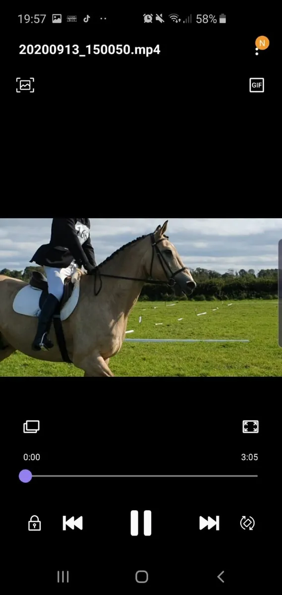 Horse - Image 4
