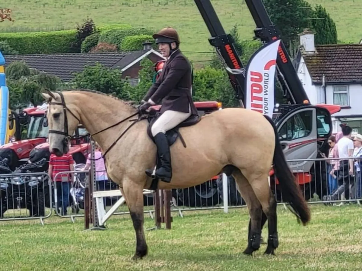 Horse - Image 1