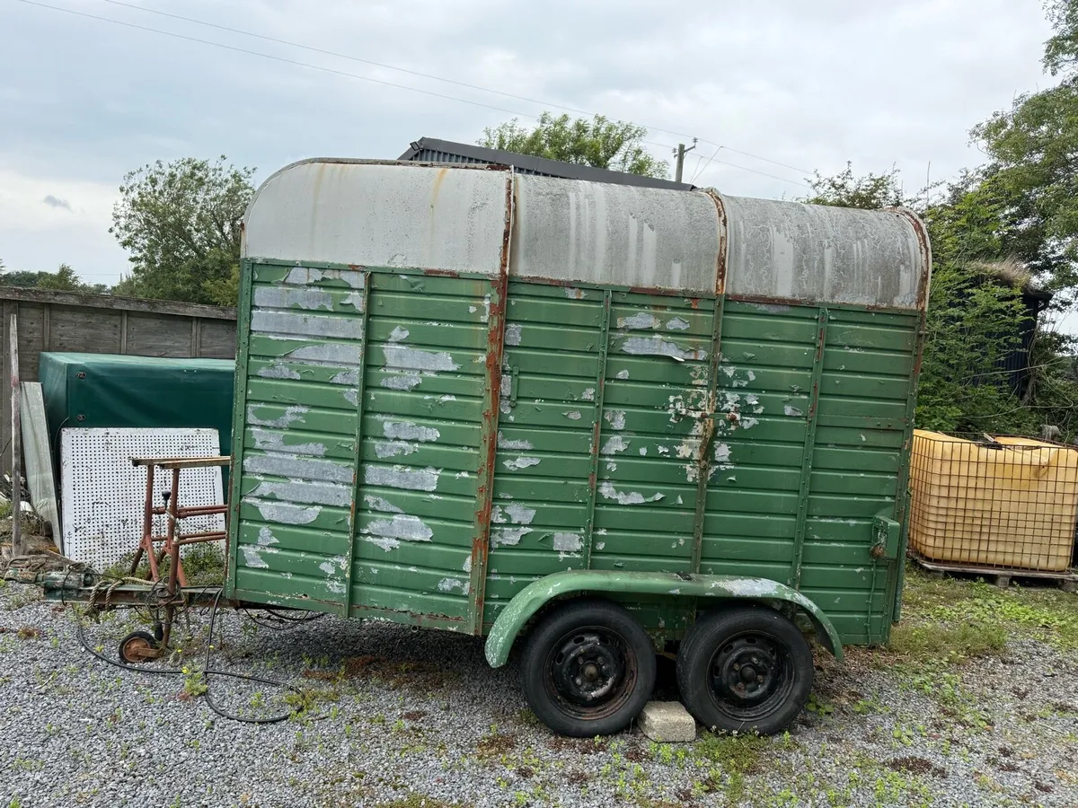 Trailer - Image 4