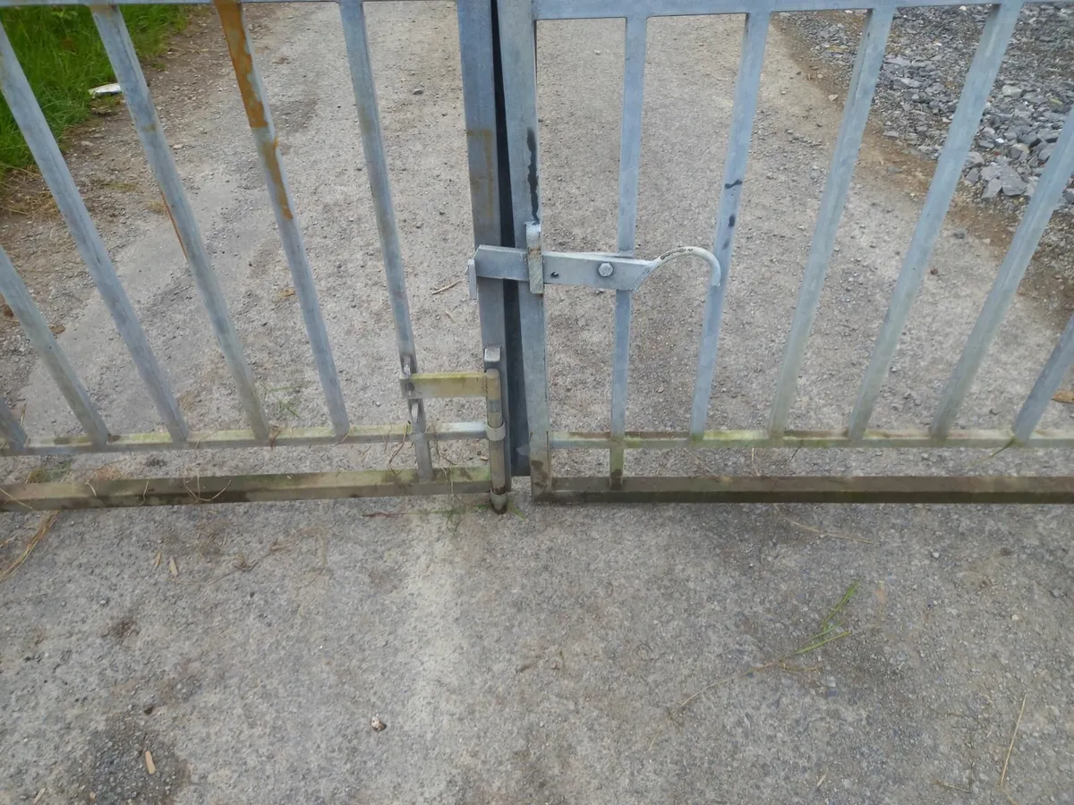 Garden gates - Image 2