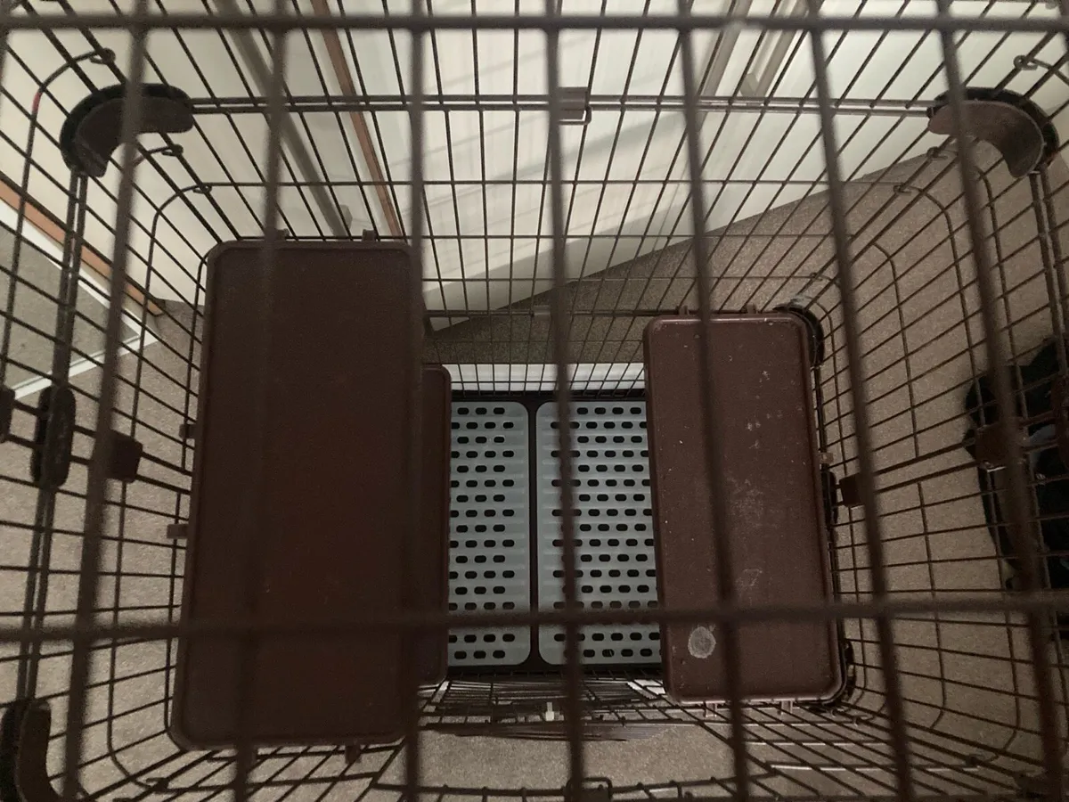 Chinchilla cage. Ferret harness and toys. - Image 2