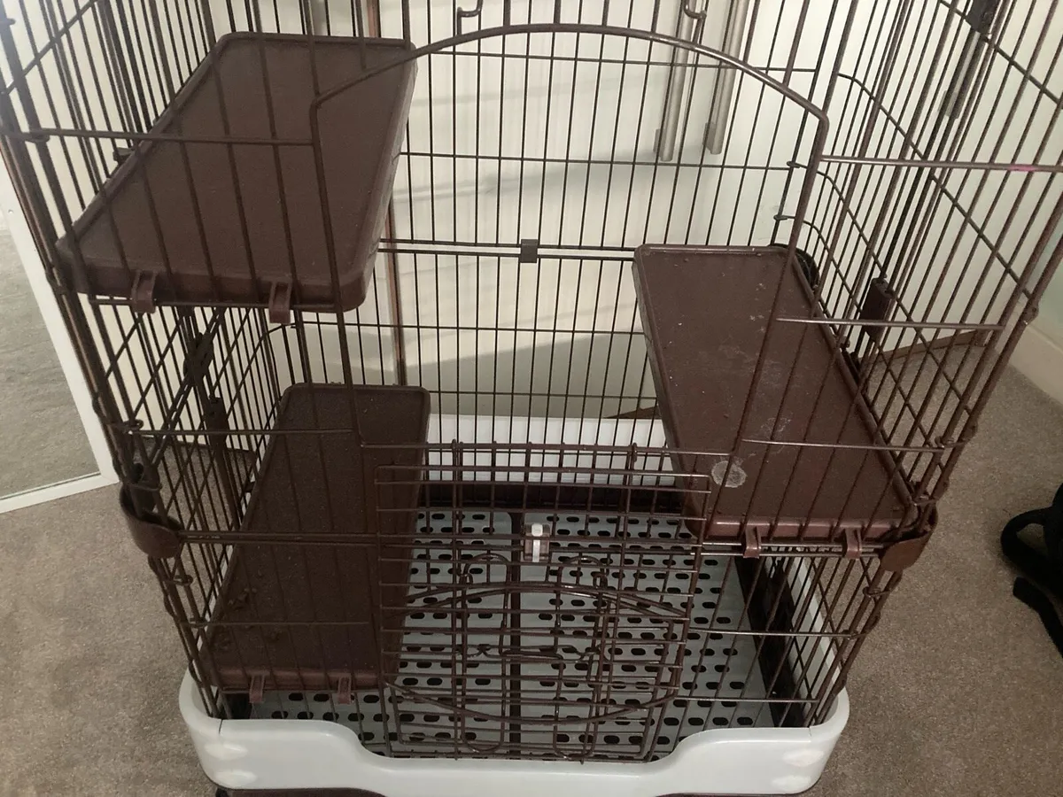 Chinchilla cage. Ferret harness and toys. - Image 3