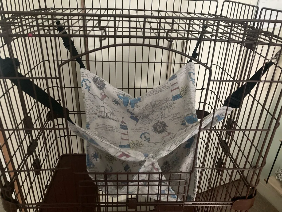 Chinchilla cage. Ferret harness and toys. - Image 4