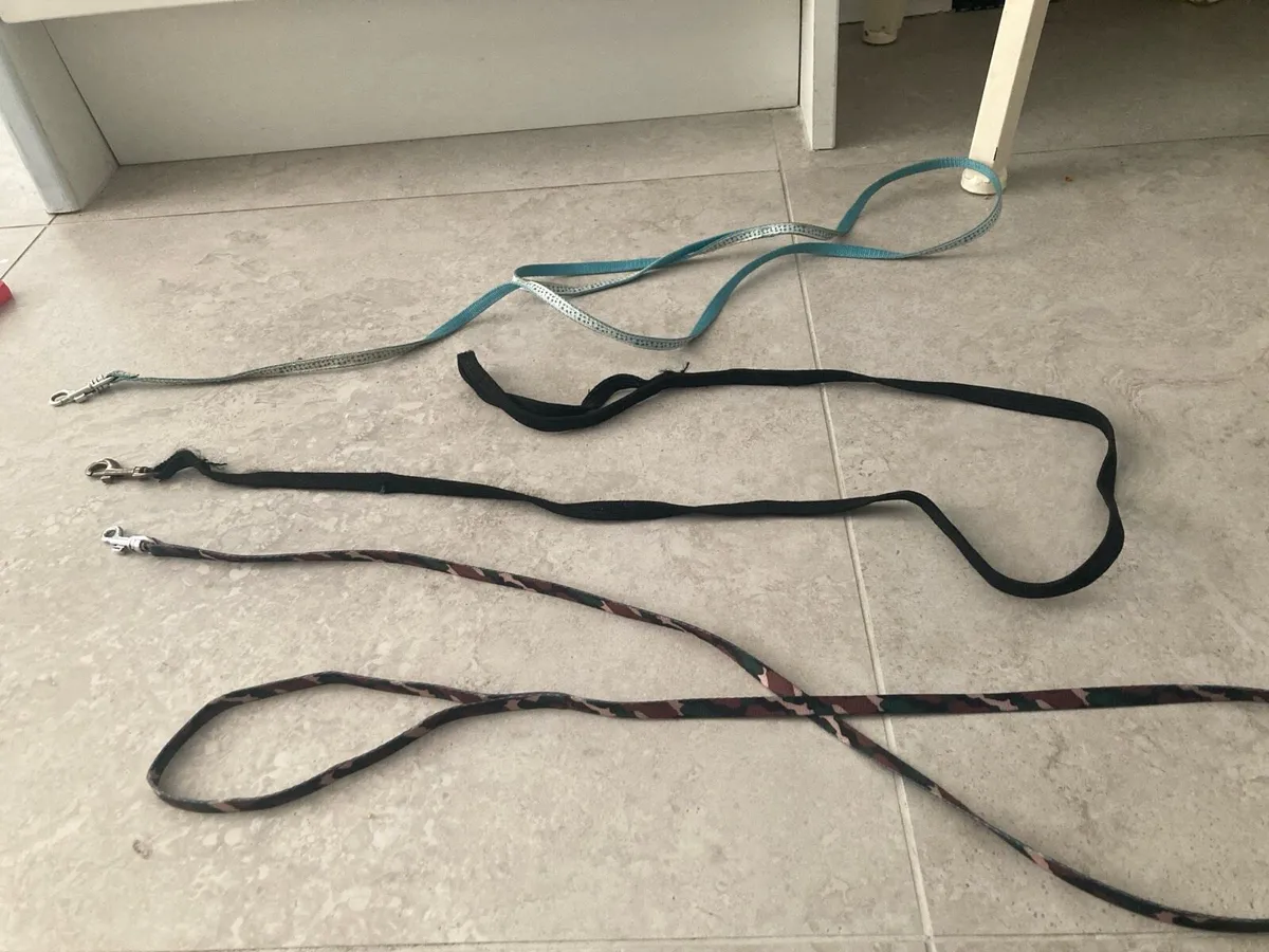 Squeaky toys and ferret harness - Image 2