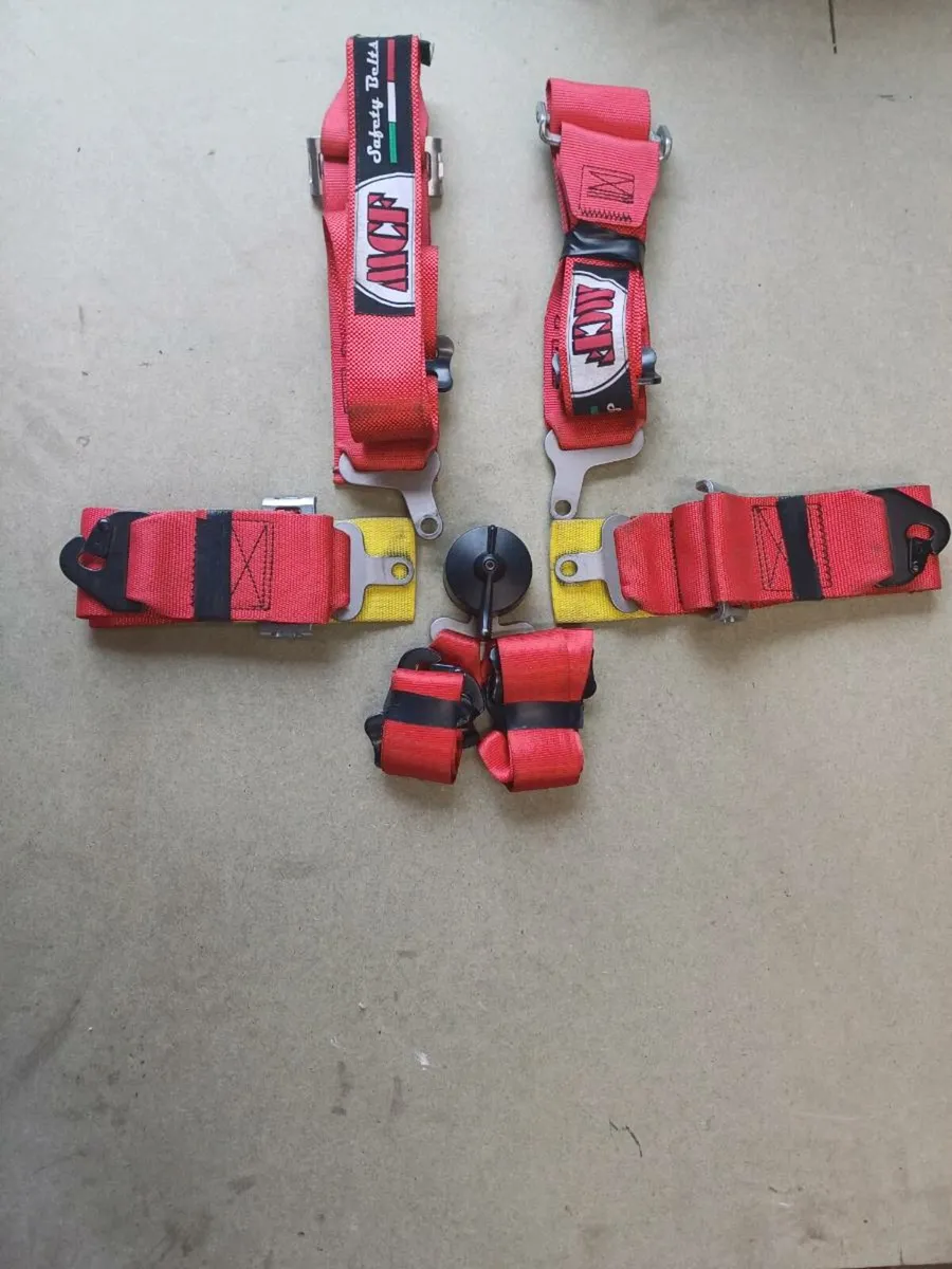 Pair of 6 - point rally harnesses