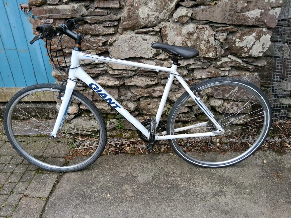 Bicycle - Image 2