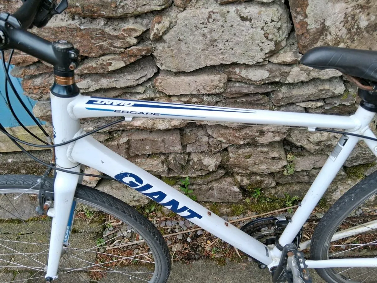 Bicycle - Image 3