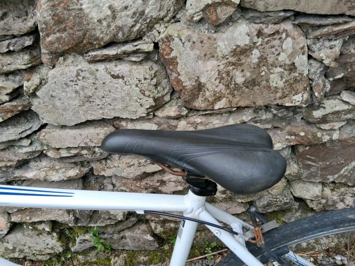 Bicycle - Image 4