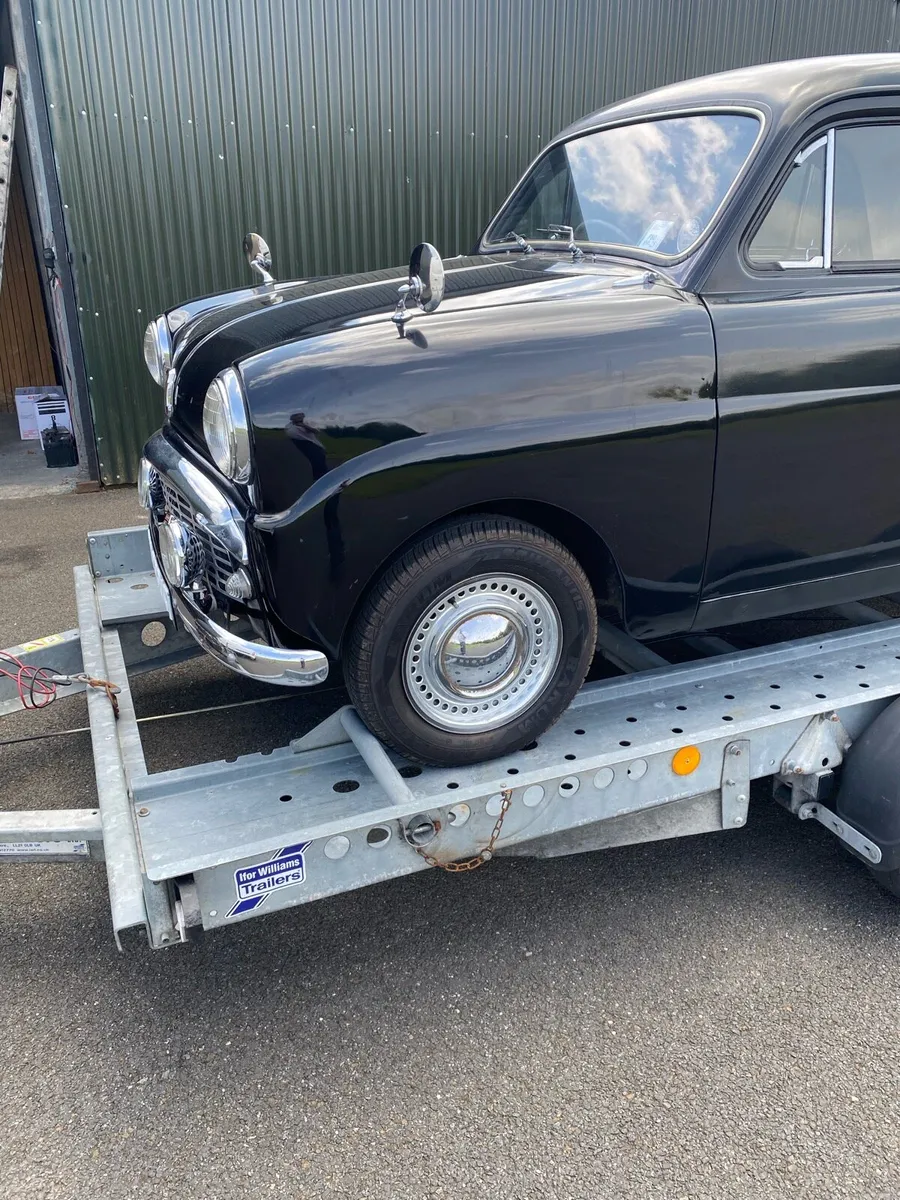 IFOR WILLIAMS CAR TRANSPORTER 136HD - Image 3