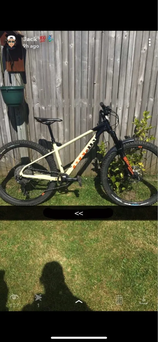 Mountain Bike - Image 1