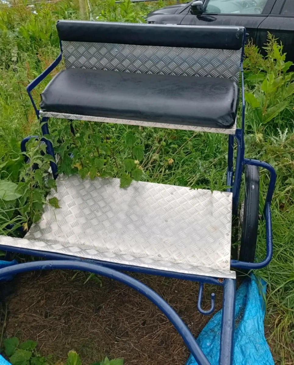 Cob size road cart and harness - Image 1