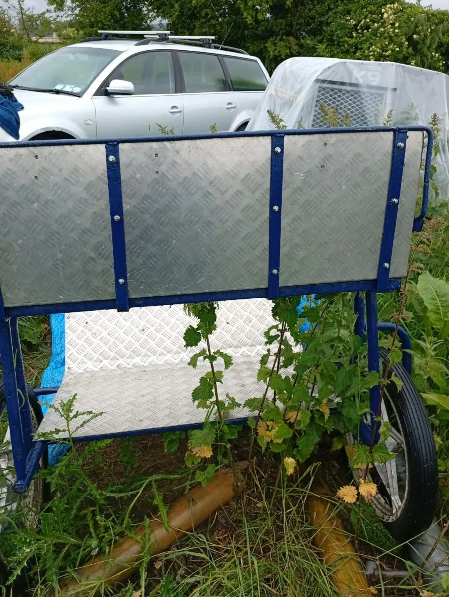 Cob size road cart and harness - Image 2