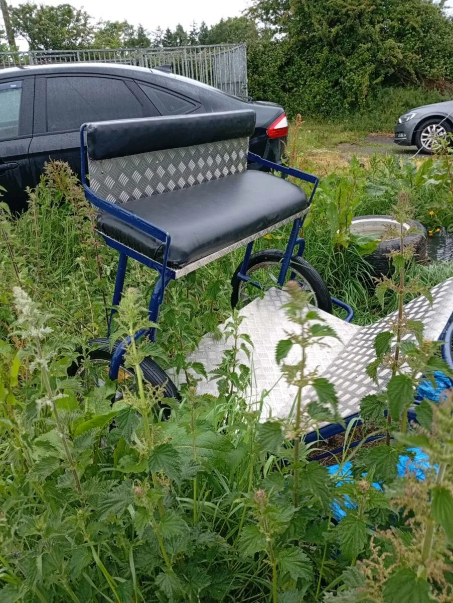 Cob size road cart and harness - Image 3