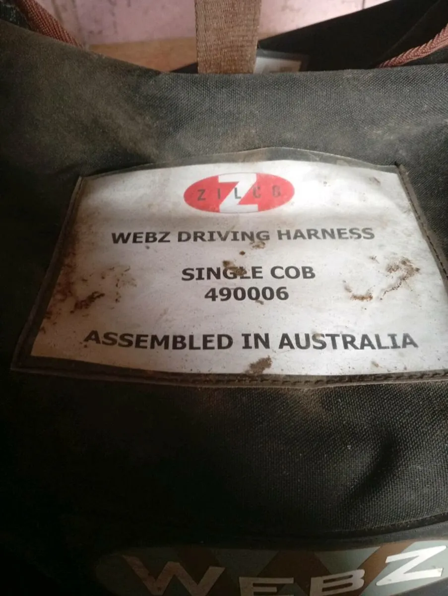 Cob size road cart and harness - Image 4