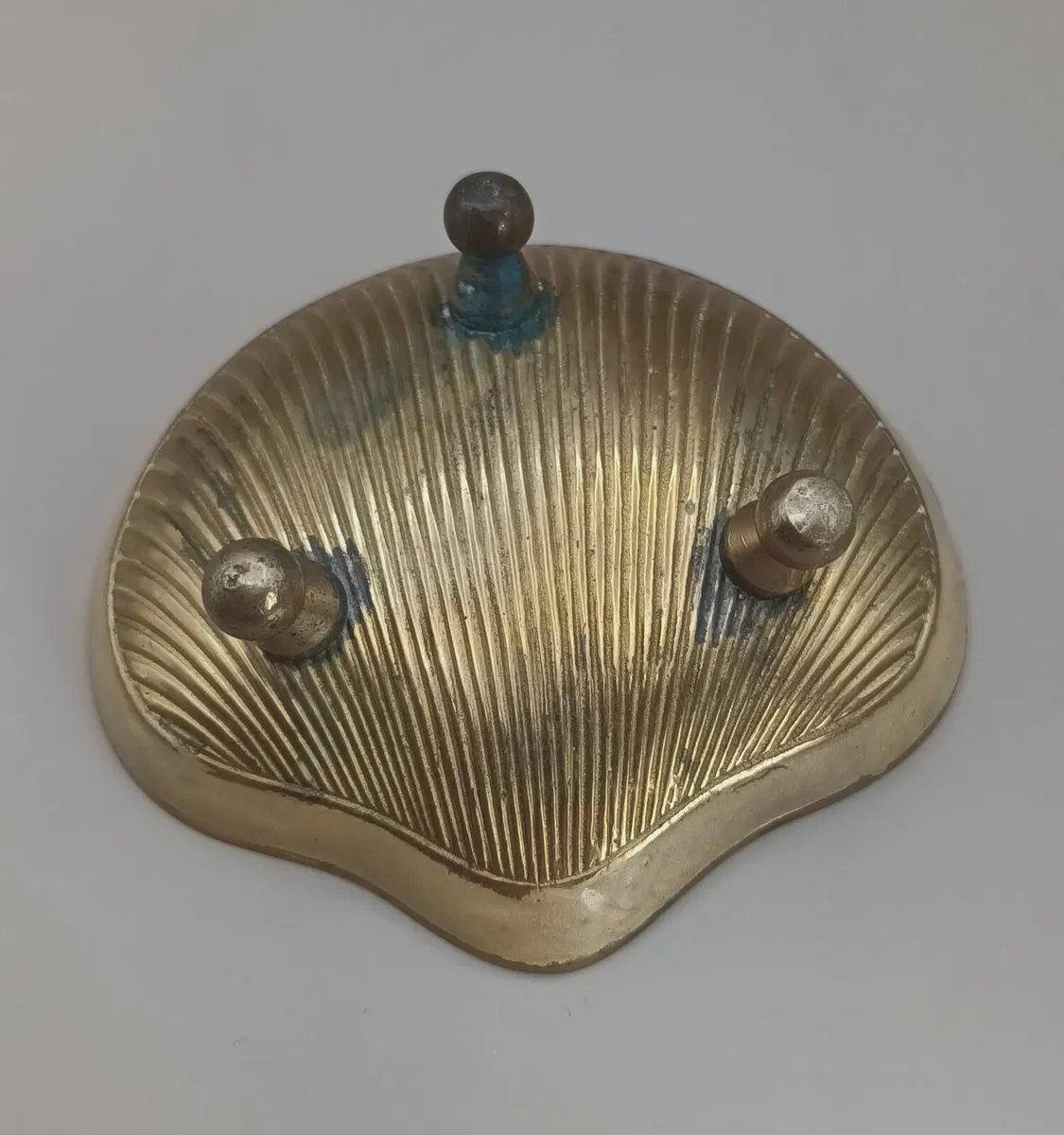 Antique shell trinket dish, enamel, D18 post 6e - Image 3