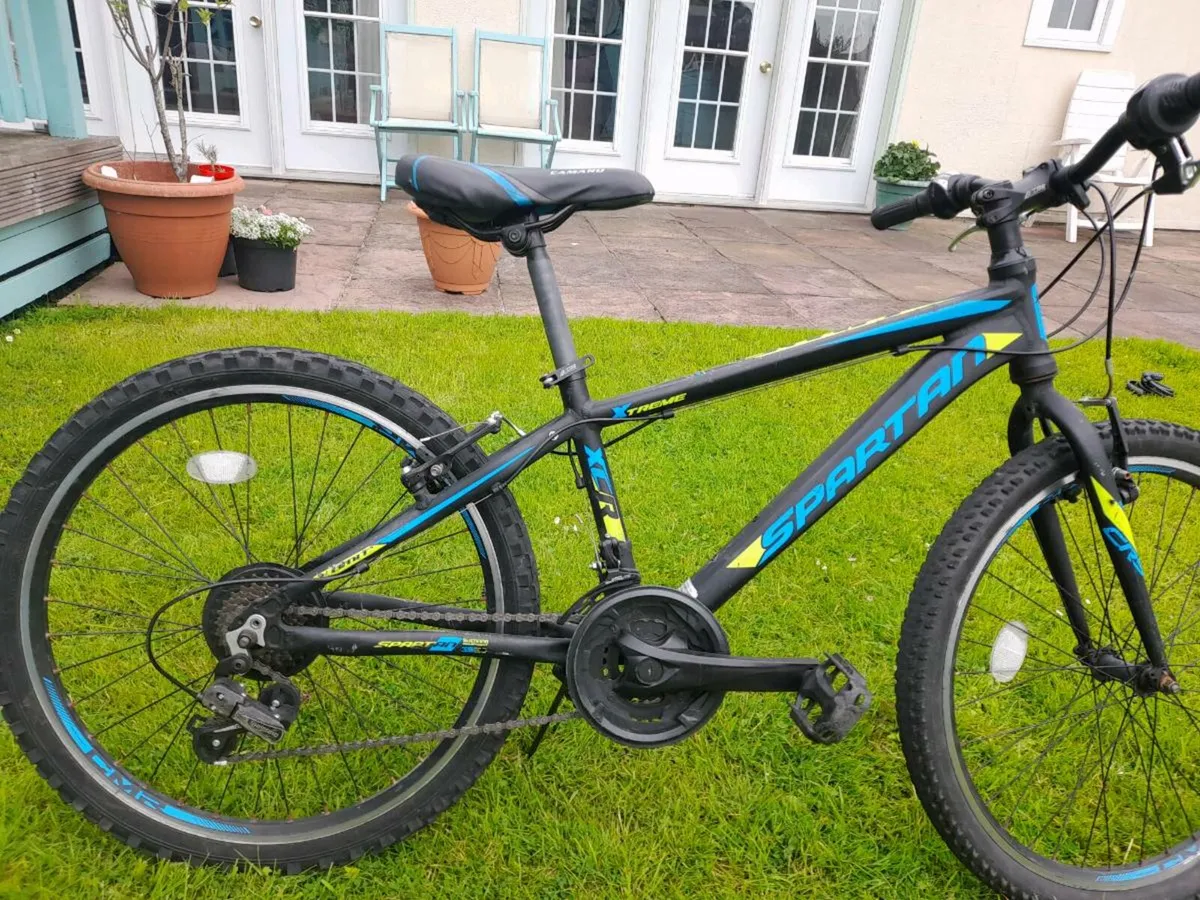 Mountain bike - Image 1