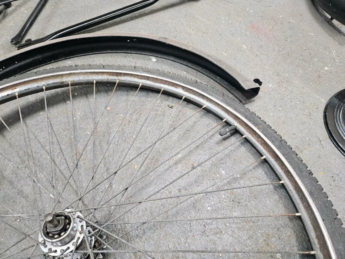 Restored High Nelly bicycle - Image 3