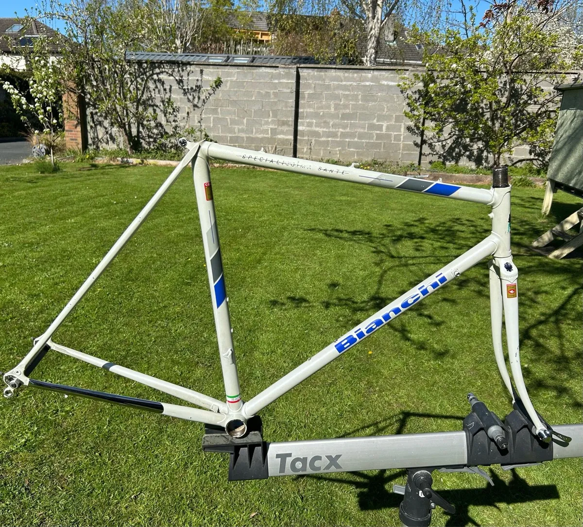 Bianchi Specialissima Frame SLX - Image 1
