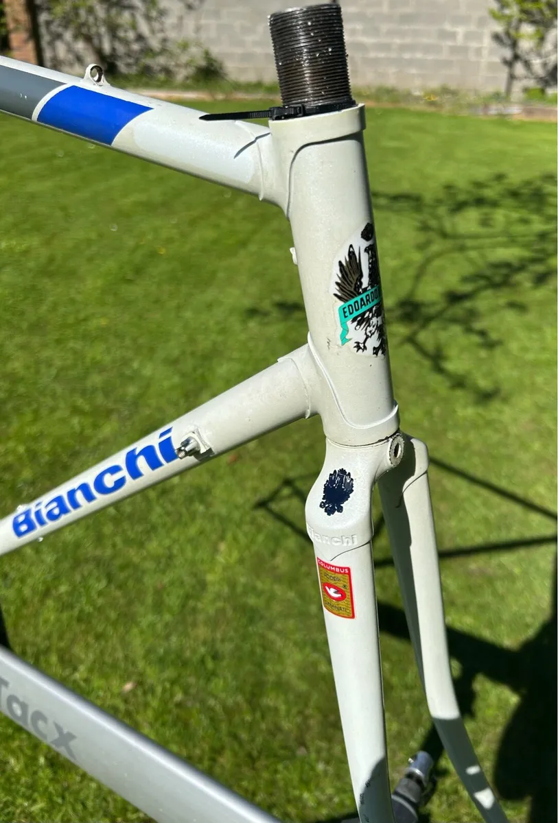 Bianchi Specialissima Frame SLX - Image 2