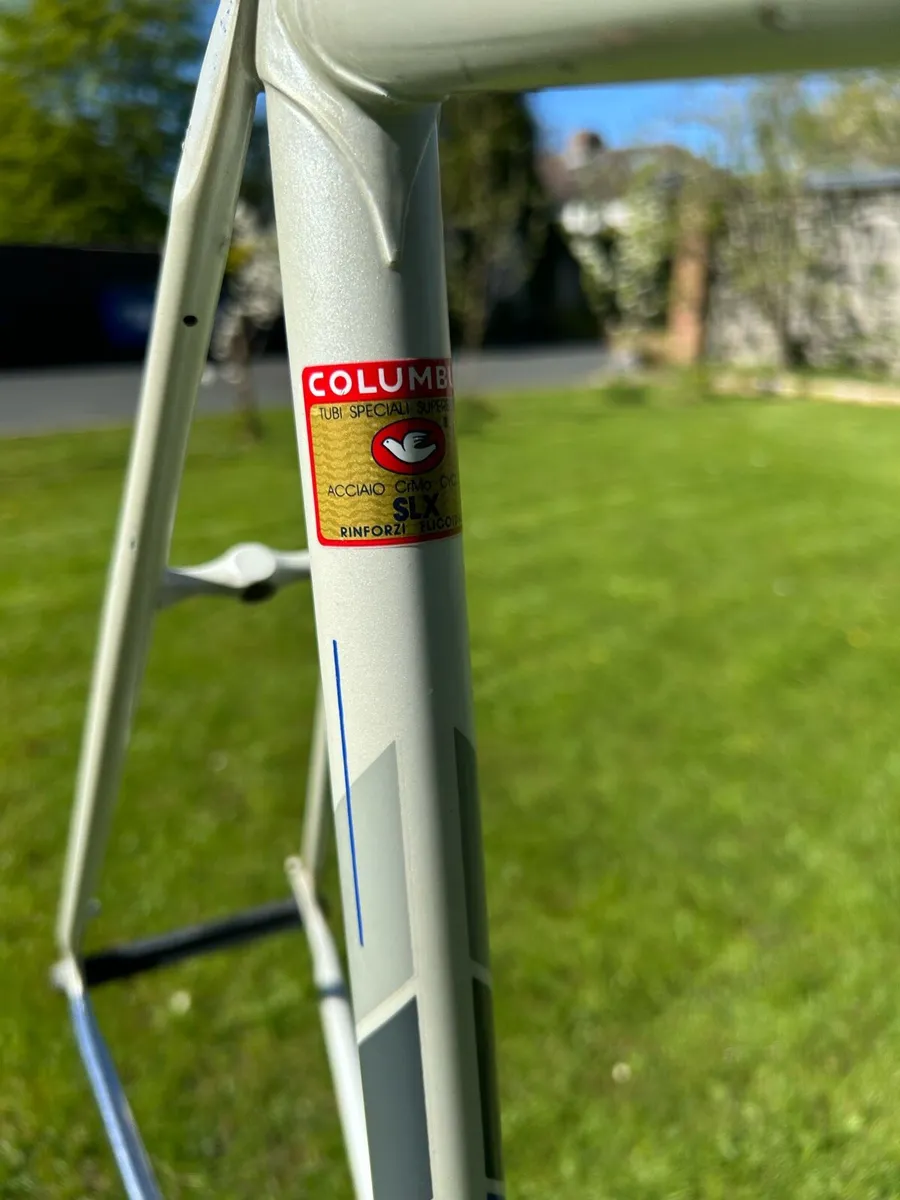 Bianchi Specialissima Frame SLX - Image 4