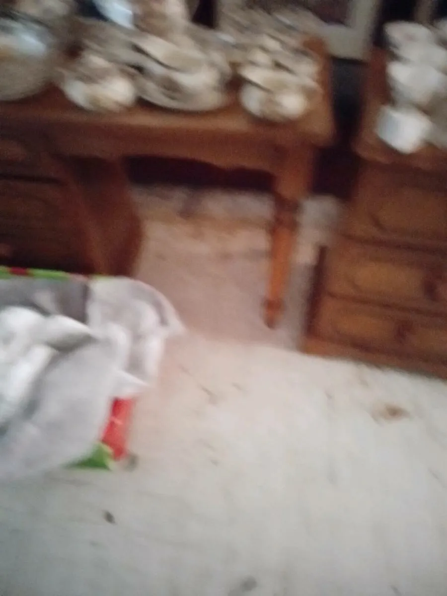 House clearance - Image 4
