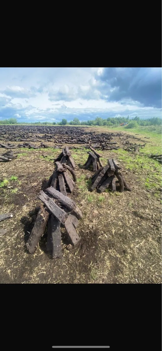 Fuel - Image 1
