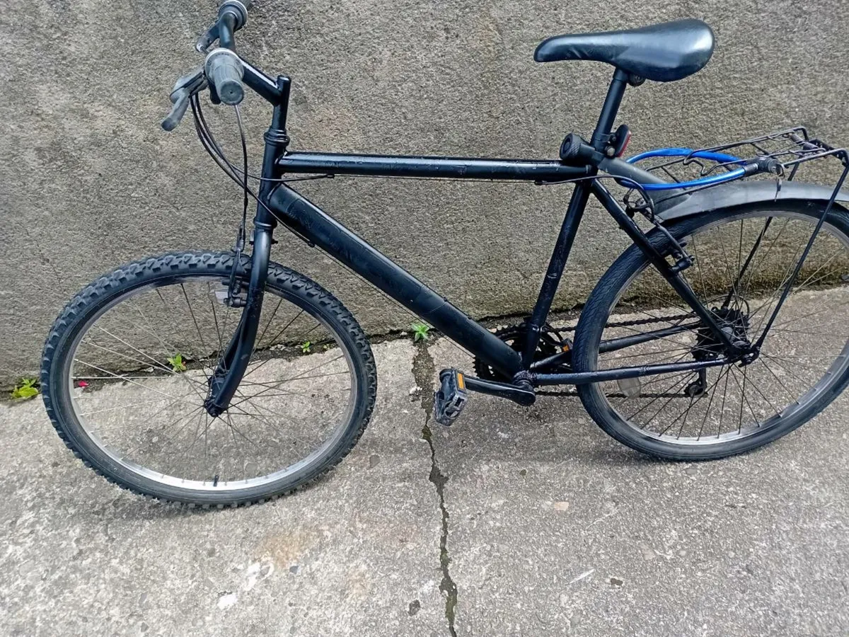 Adult bike - Image 1