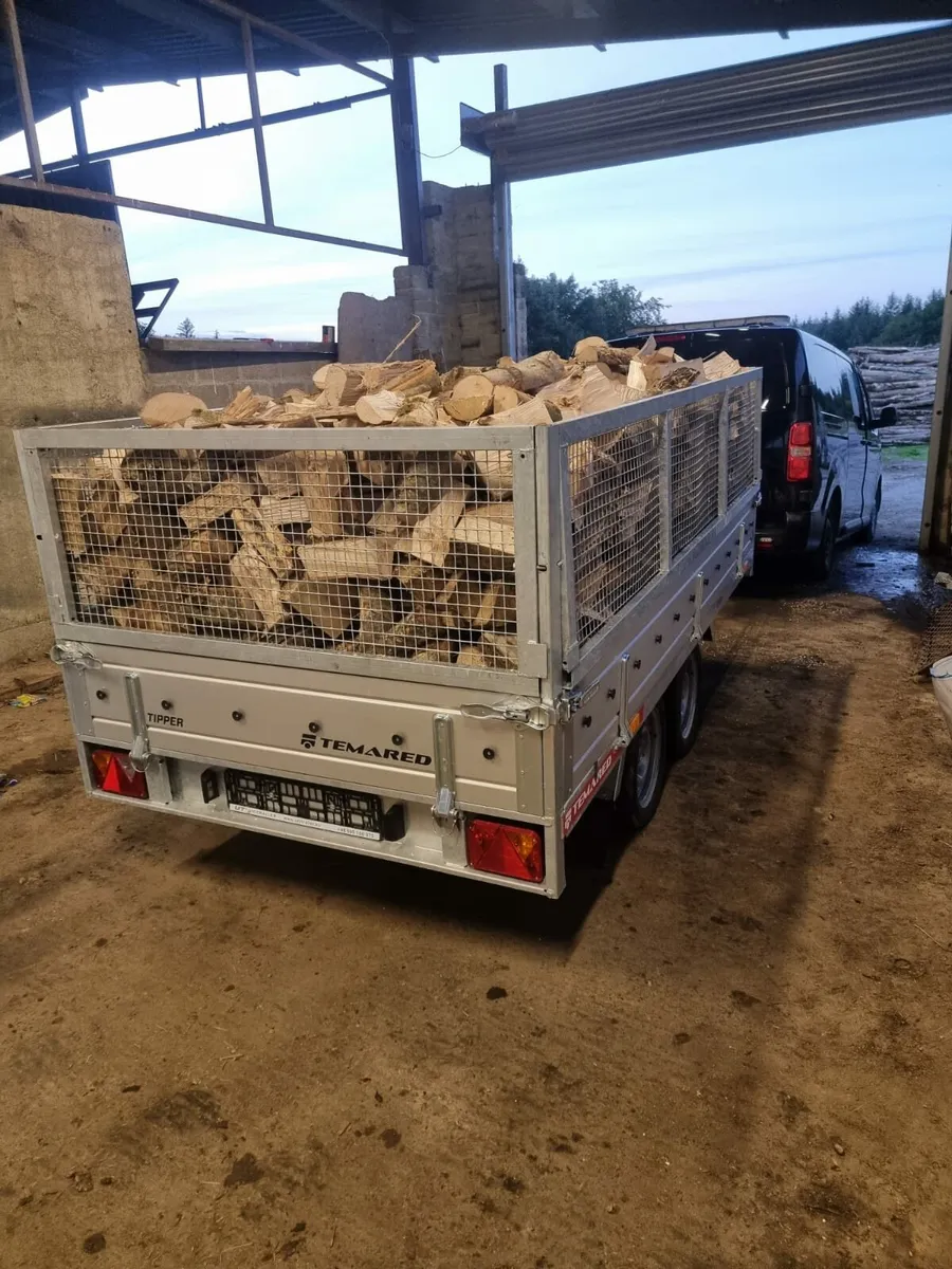 Ash firewood hardwood - Image 1