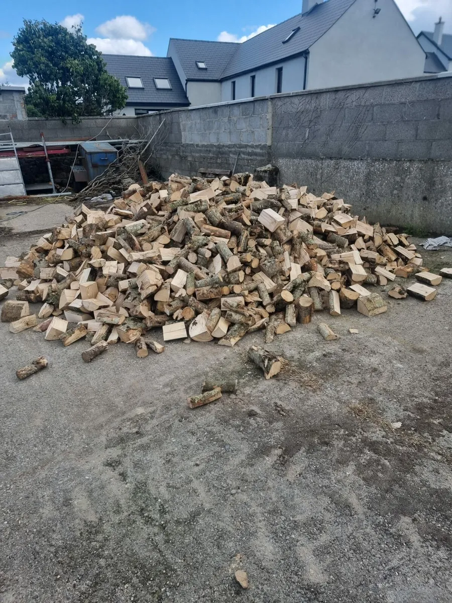 Ash firewood hardwood - Image 2