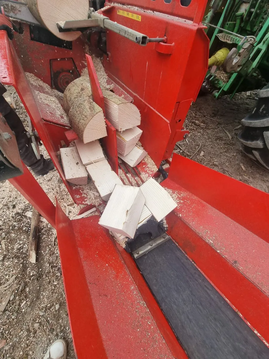 Ash firewood hardwood - Image 3