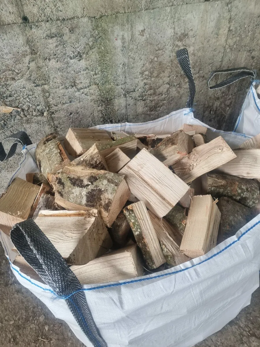 Ash firewood hardwood - Image 4