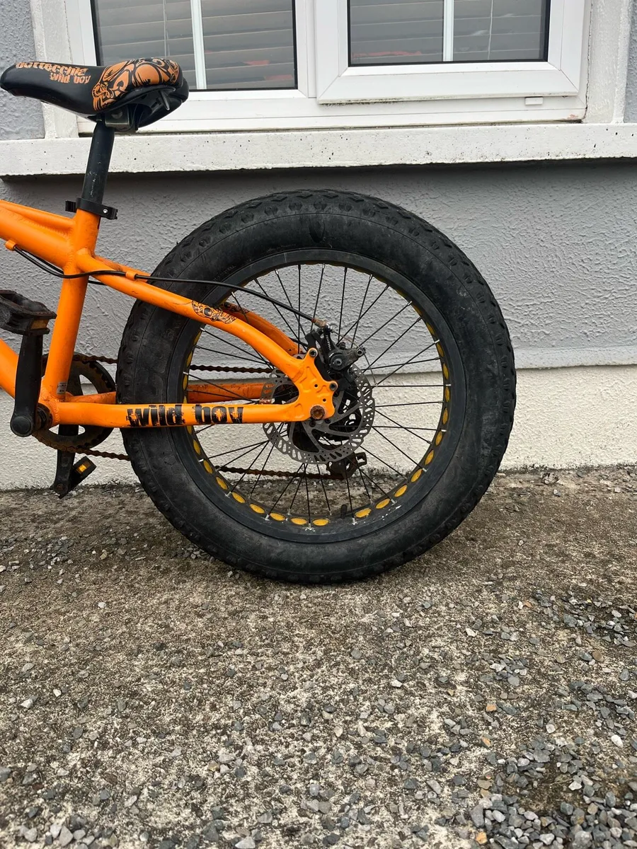 Bottecchia Wild Boy Bicycle - Image 2