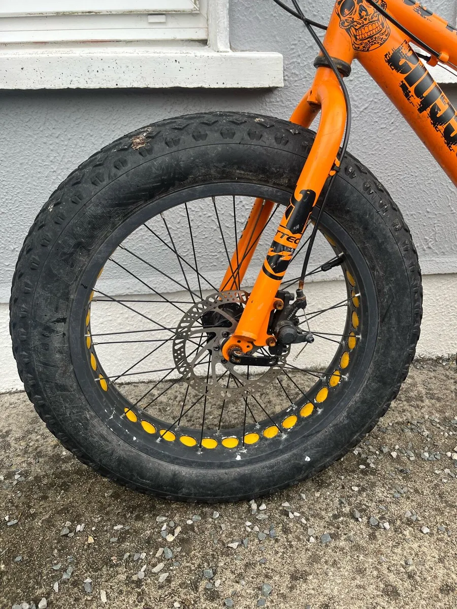 Bottecchia Wild Boy Bicycle - Image 3