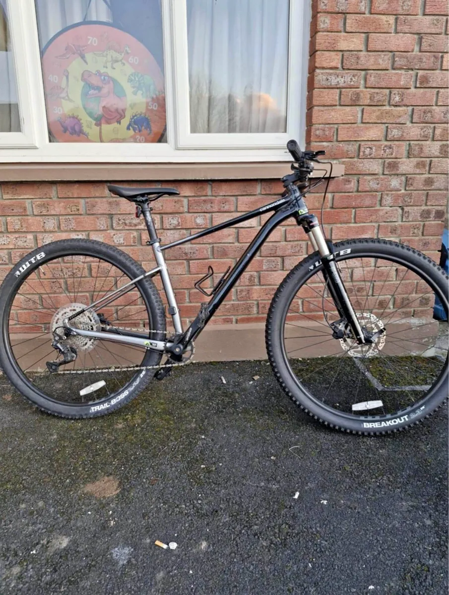 Mtb Cannondale - Image 1