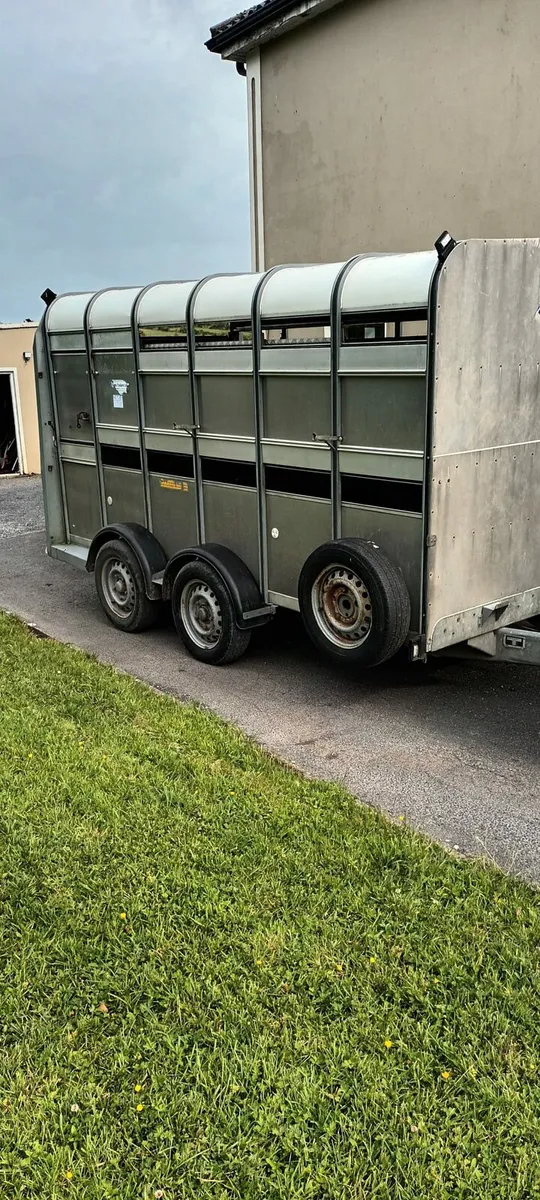 Ifor Williams 12x5ft10 - Image 1
