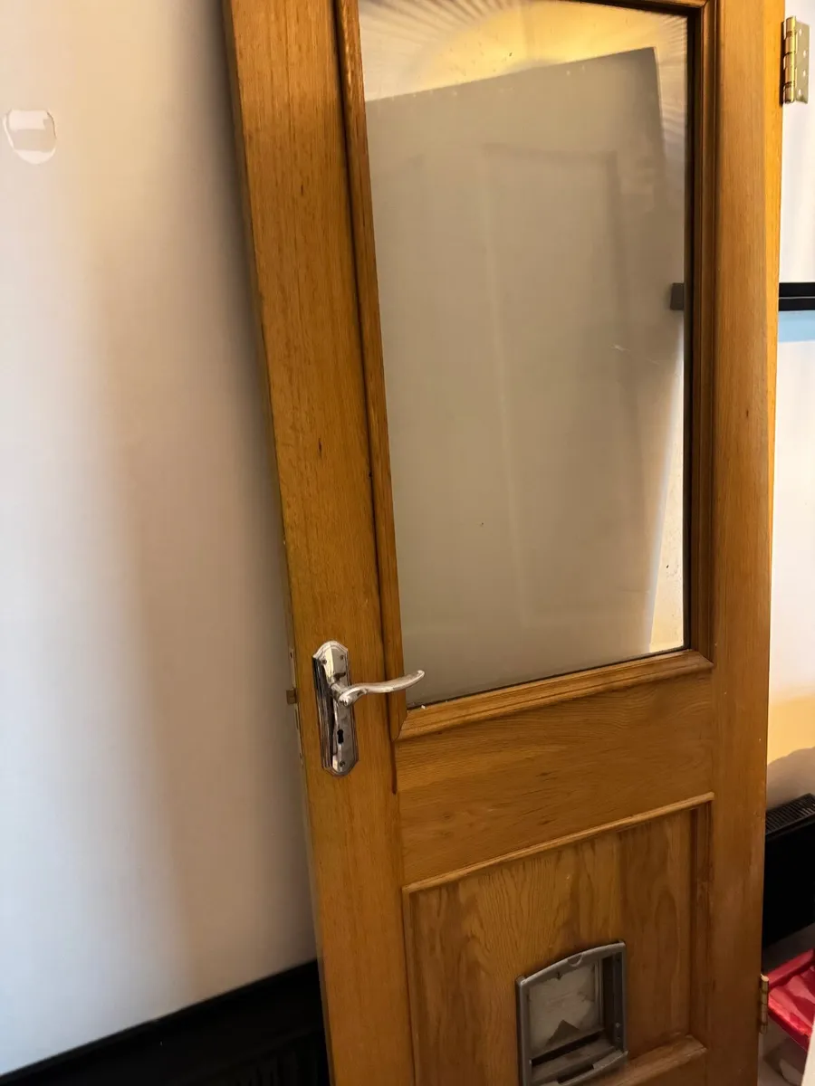 Internal door - Image 1