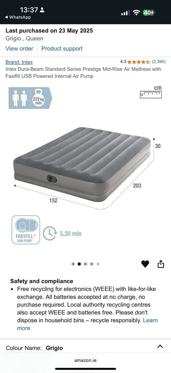 Air Mattress + Pump - Image 1