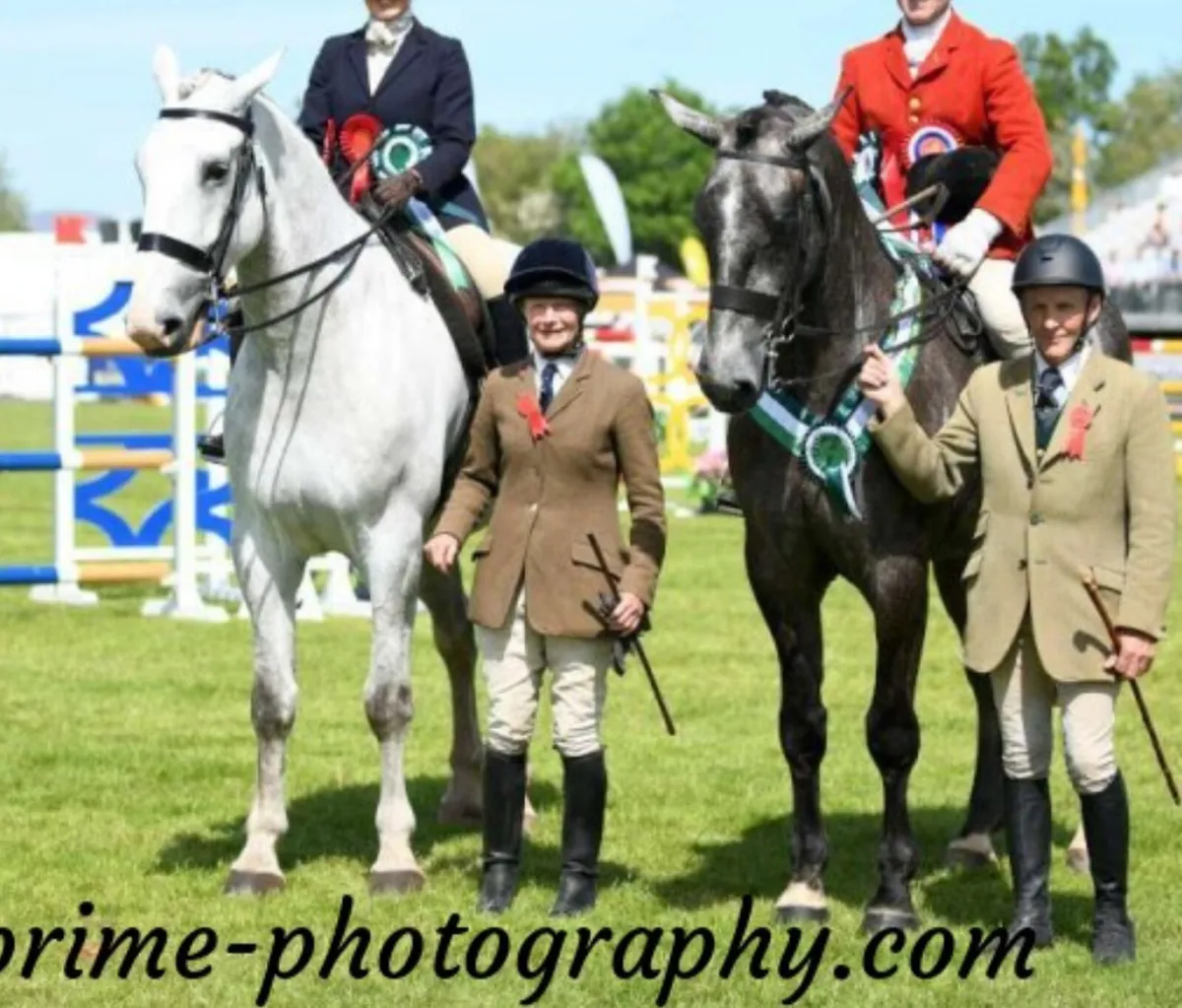 2025 - Balmoral Reserve Champion HW Hunter - Image 4