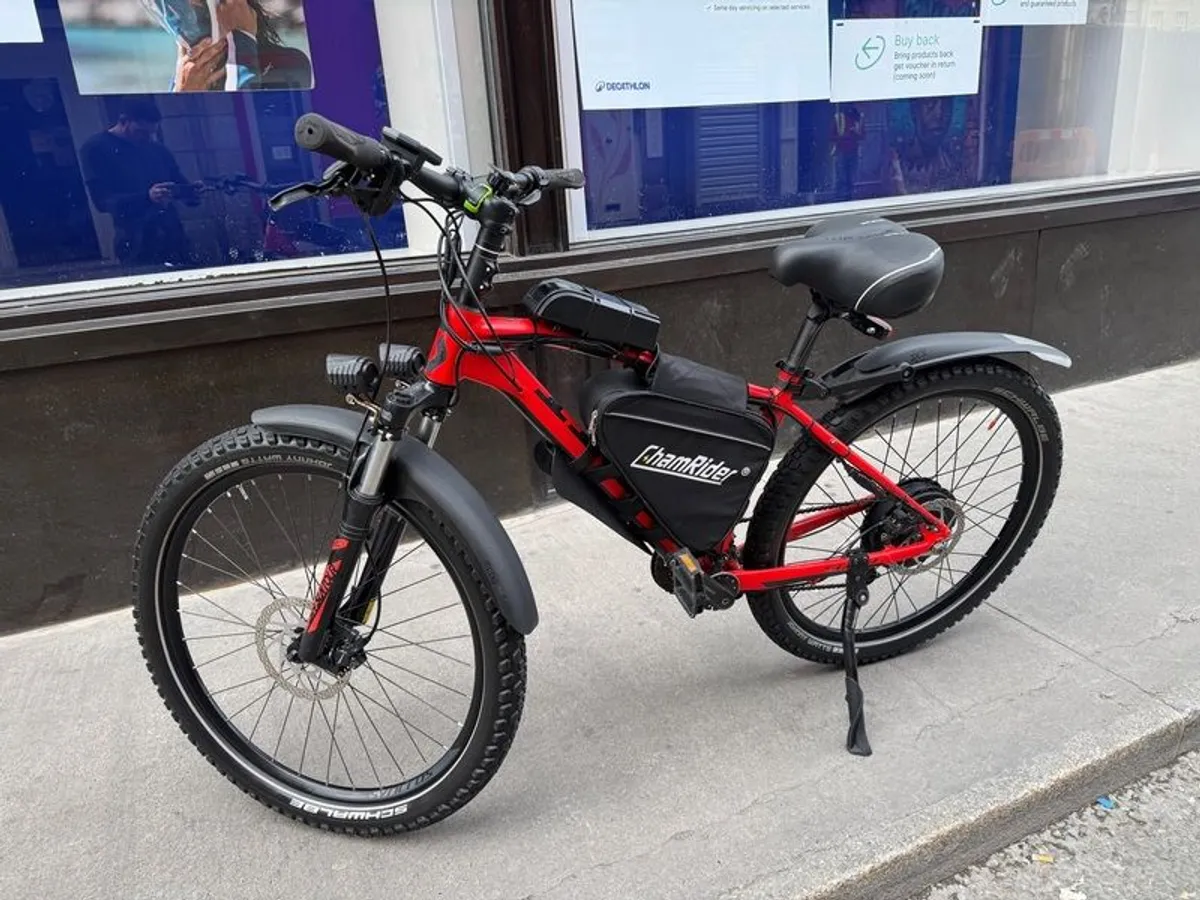 e-bike - Image 1